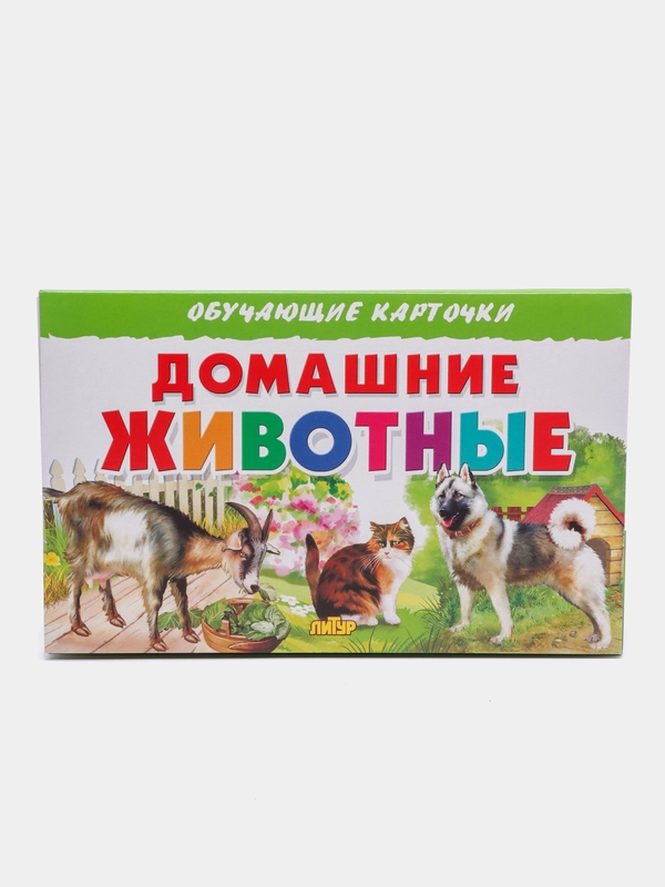 "Домашние животные", обучающие карточки на картоне с познавательным текстом