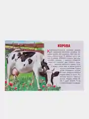 "Домашние животные", обучающие карточки на картоне с познавательным текстом
