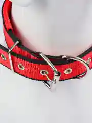 Красный ошейник для собак и кошек, нейлоновый, с подкладкой, плетеный