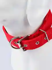 Коралловый ошейник для собак и кошек, нейлоновый, с подкладкой, плетеный