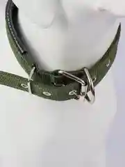 Лесной зеленый ошейник для собак и кошек, нейлоновый, с подкладкой, плетеный