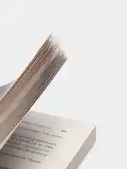 Рассказ Служанки, Маргарет Этвуд