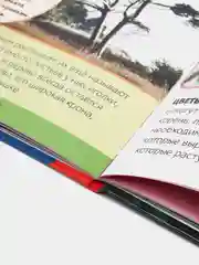 Аметистовый энциклопедия в твёрдом переплёте "150 почему, Тело человека, Животные, 200 фактов""