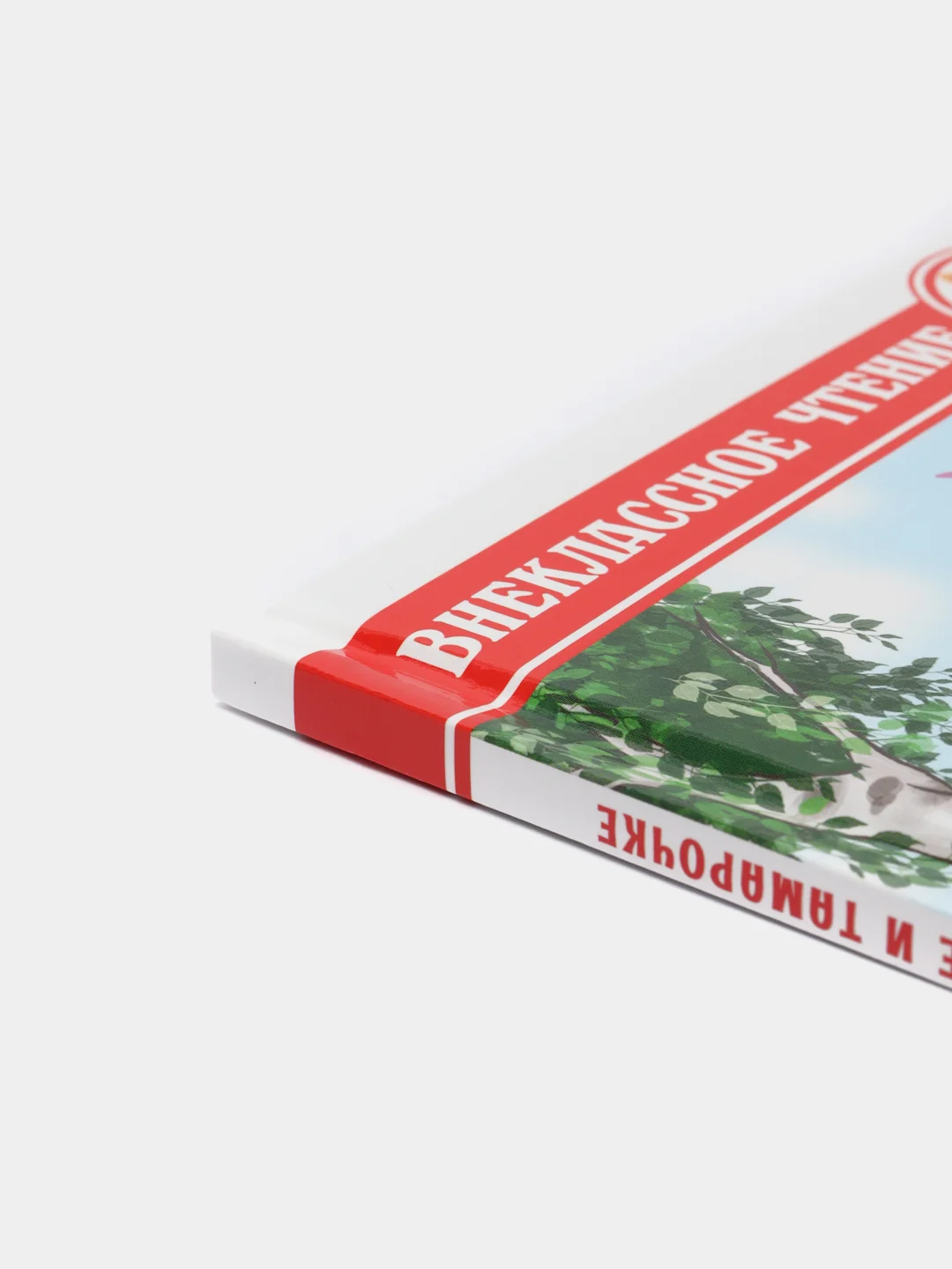 Книга для детей Внеклассное чтение Л.Пантелеев "Рассказы о Белочке и Тамарочке" Проф-Пресс