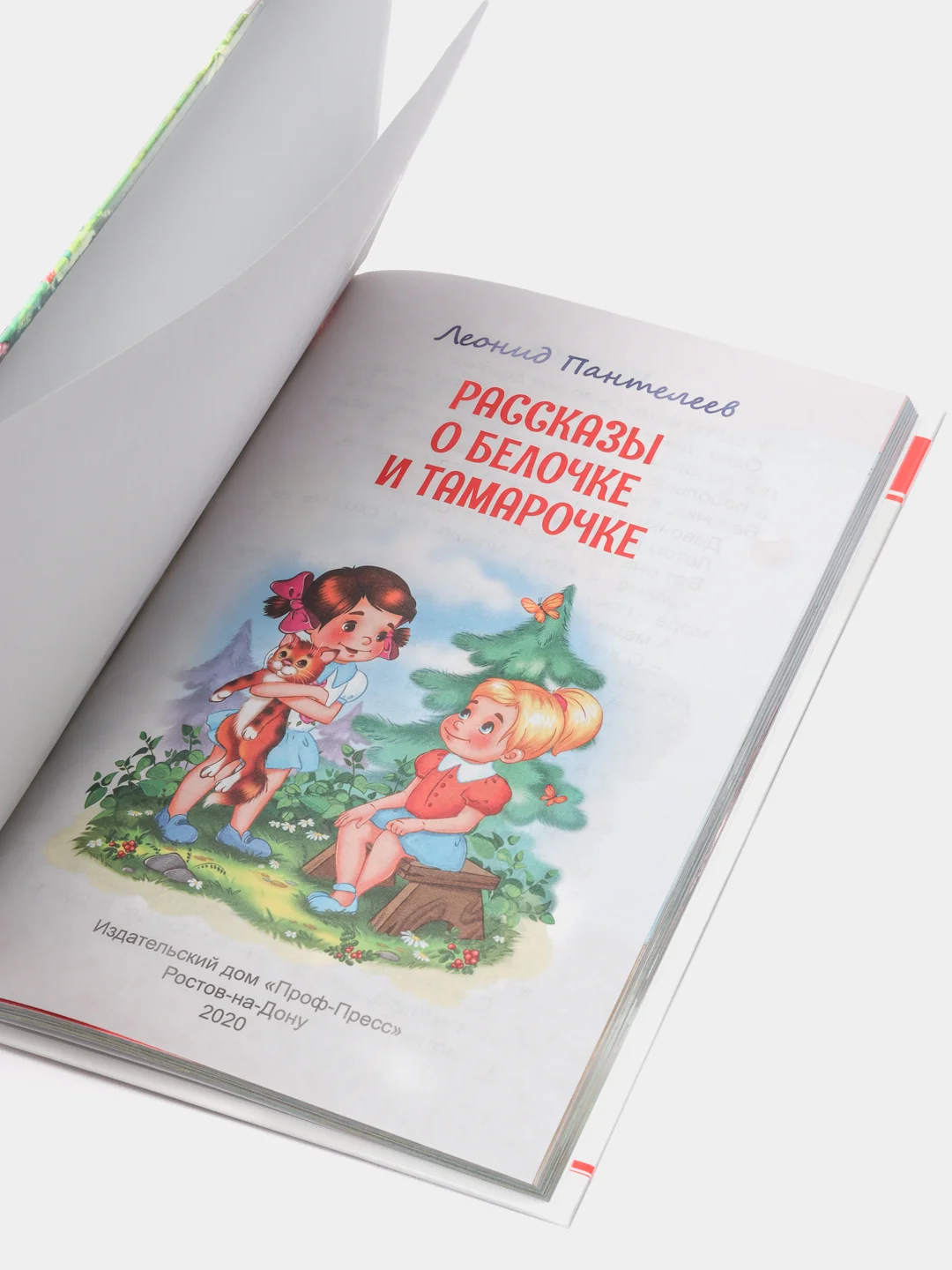 Книга для детей Внеклассное чтение Л.Пантелеев "Рассказы о Белочке и Тамарочке" Проф-Пресс