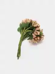 Золотой тычинки с сахарными вставками 12 шт