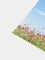Открытка " С тобой моя душа расцветает"