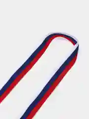 Лента "Триколор", жаккард, 20 мм