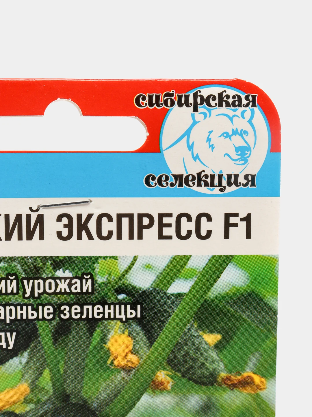 Огурец "Сибирский экспресс F1", семена, сибирский сад