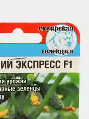 Огурец "Сибирский экспресс F1", семена, сибирский сад