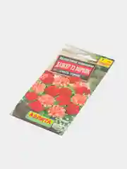 Пеларгония Дансер Ворвик (семена,цветы)