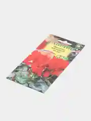 Цикламен Юля (семена, цветы)