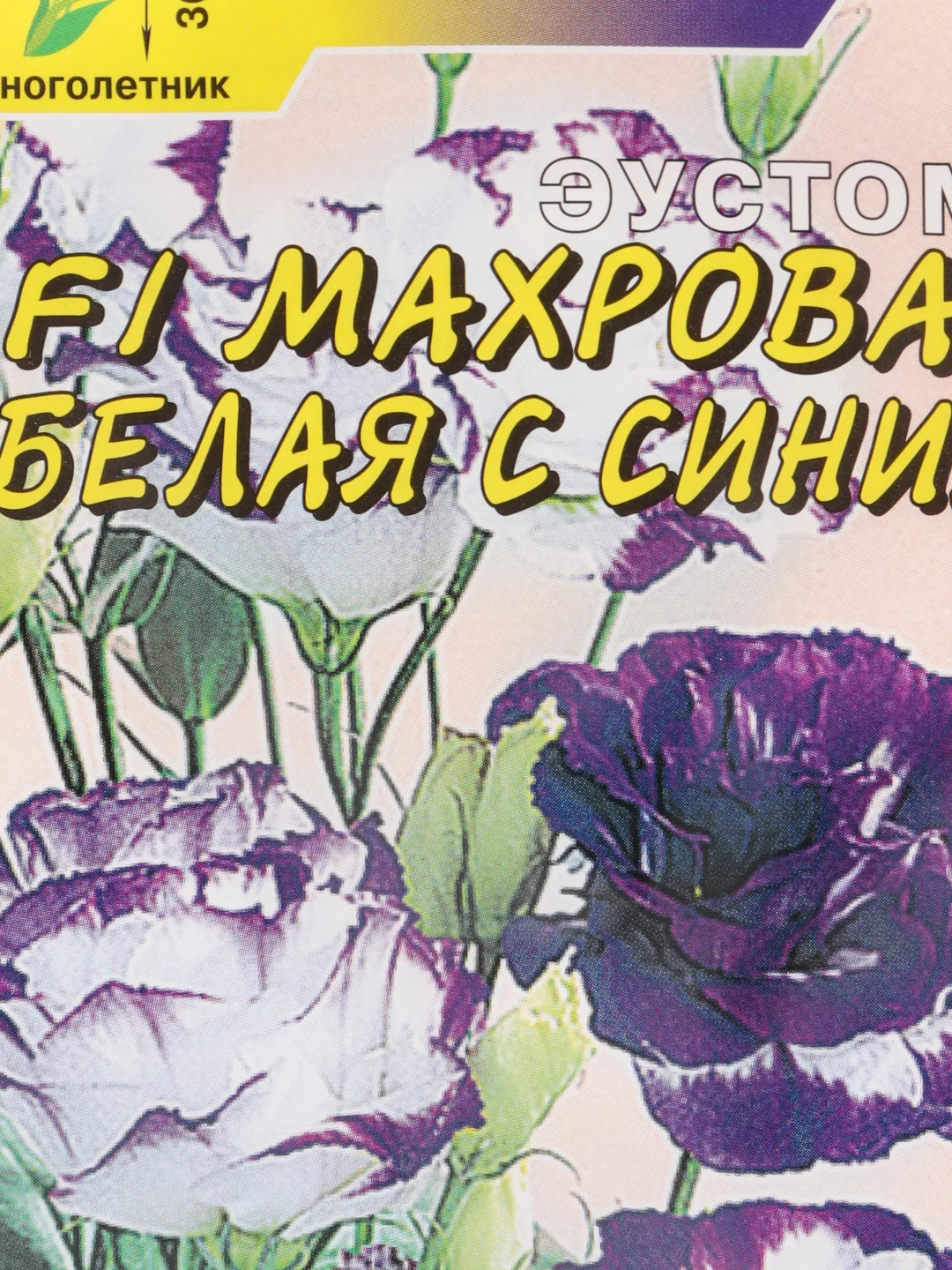 Эустома Махровая белая с синим (семена,цветы)