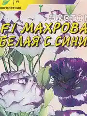 Эустома Махровая белая с синим (семена,цветы)