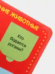 Лесной зеленый книги с окошками "Синий Трактор"