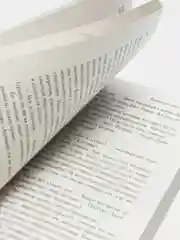 Ежевичное вино, Джоанн Харрис