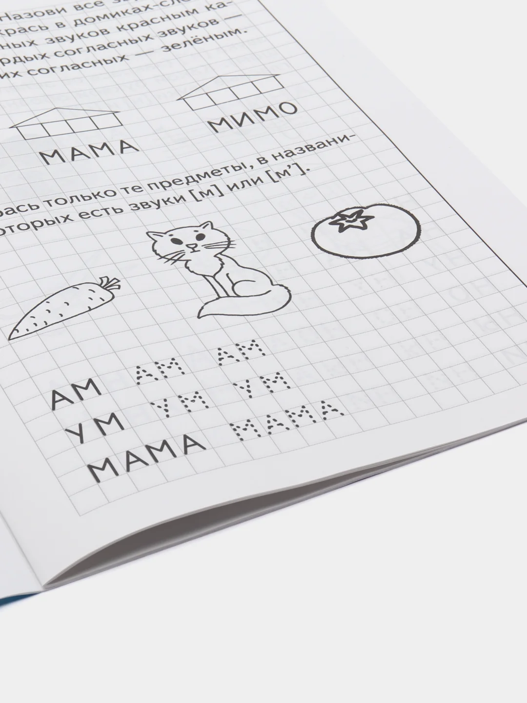 Рабочая тетрадь для детей 5-6 лет "Развиваем навыки чтения и грамотного письма", часть 1