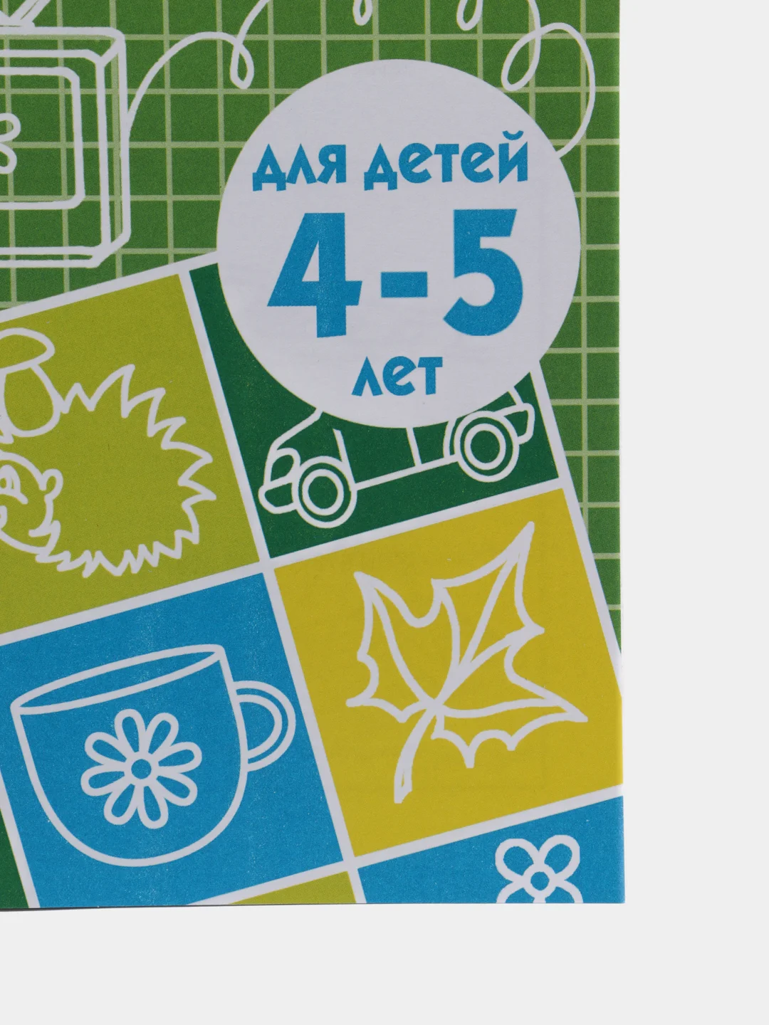 Рабочая тетрадь 4-5 лет Развиваем внимание и логическое мышление, Бортникова Е (У188969)