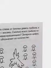 Рабочая тетрадь для детей 4-5 лет "Развиваем математические способности", Бортникова Е