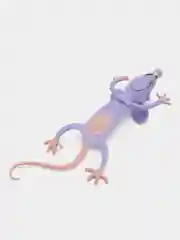 Лавандовый закладка для книг 3d