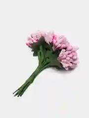 Розовый тычинки с сахарными вставками. 12 штук