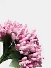 Розовый тычинки с сахарными вставками. 12 штук