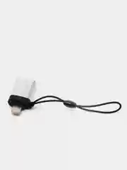 Серебряный адаптер-переходник с USB  на lightning Apple