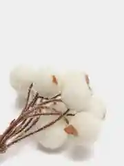 Алый ягоды в сахаре на проволоке, Декор, флористика