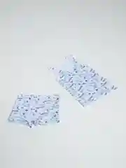 Белый мфйка и трусы, комплект нижнего белья для мальчика, Wow detki