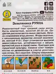 Семена земляники "Руяна" альпийская, 0.04 г