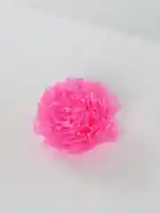 Розовый бант розовый в цветочек