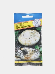 Семена мицелий грибов "Груздь настоящий"