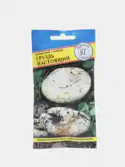 Семена мицелий грибов "Груздь настоящий"