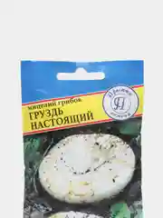 Семена мицелий грибов "Груздь настоящий"