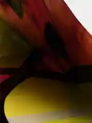 Желтый фольгированные шары фрукты