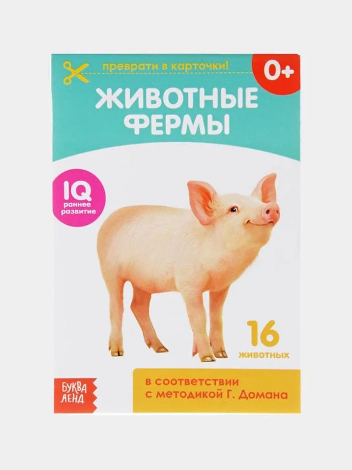 Обучающая книжка (карточки) по методике Г. Домана