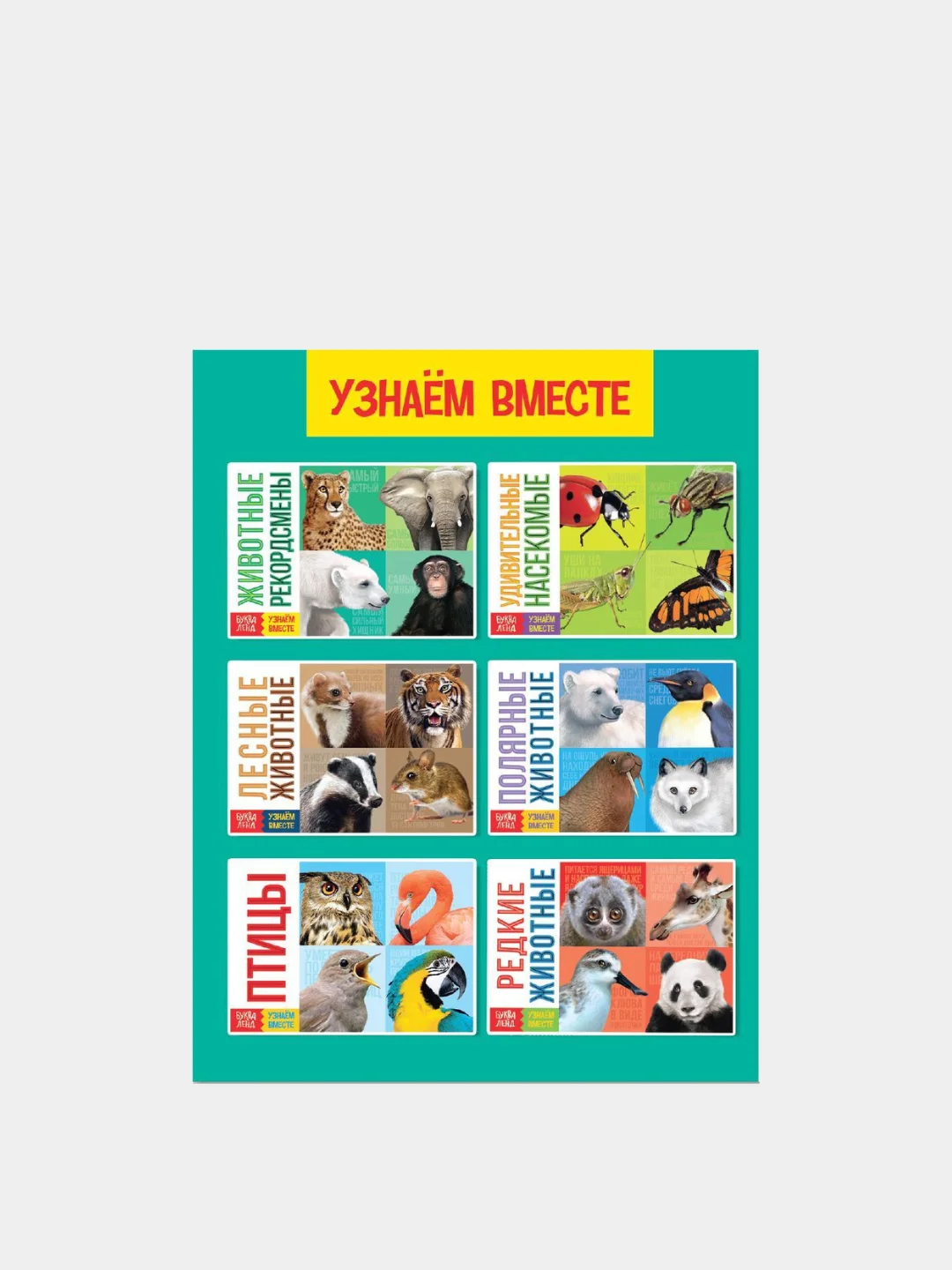 Обучающая книга "Животные-насекомые-птицы", 20 стр. / 11 вариантов