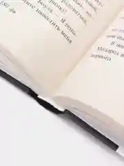 451 по Фаренгейту, Рэй Брэдбери
