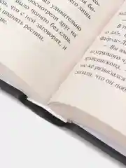 Собор Парижской Богоматери, Виктор Гюго