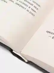 Вино из одуванчиков, Рэй Брэдбери