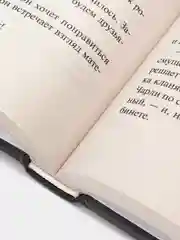Цветы для Элджернона, Дэниел Киз