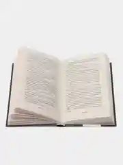 Цветы для Элджернона, Дэниел Киз