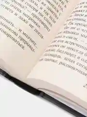 Преступление и наказание, Федор Достоевский