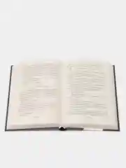 Книжный вор, Маркус Зусак