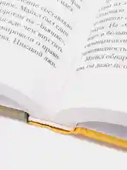 Что-то не так с Гэлвинами. Идеальная семья, разрушенная безумием, Роберт Колкер
