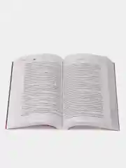 Хрупкое равновесие. Книга 3. Статус-кво, Ана Шерри