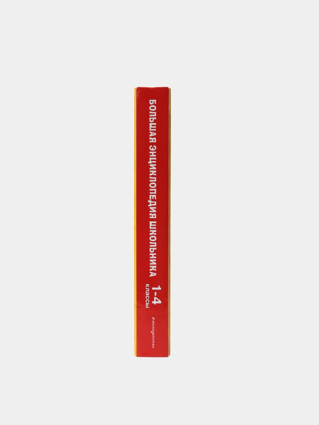 Большая энциклопедия школьника, 1-4 классы, Горохова А.М., Пожилова Е.О., Хацкевич М.А