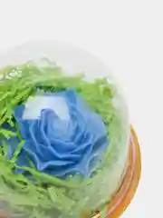 Голубой мыло "Роза", в куполе