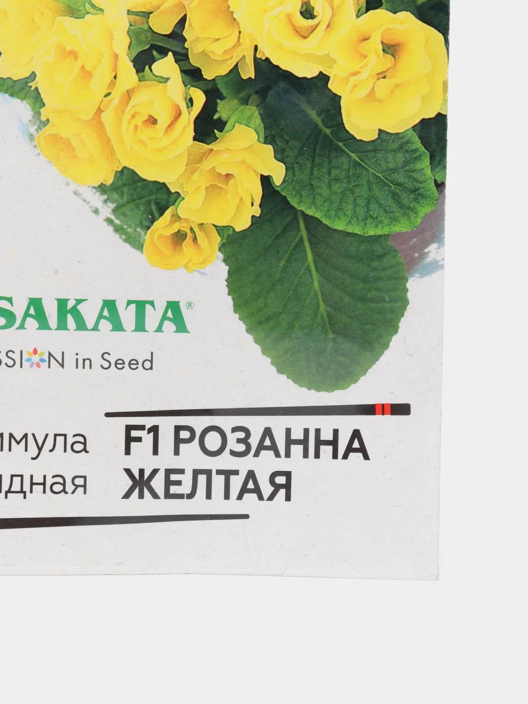 Примула Розанна желтая (семена,цветы)