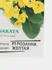 Примула Розанна желтая (семена,цветы)